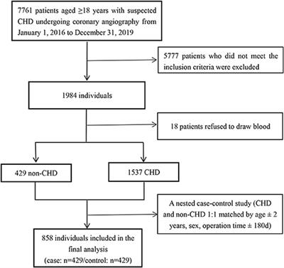 Association of Plasma Vitamin B6 With Coronary Heart Disease in Patients Undergoing Diagnostic Coronary Angiography: New Insight on Sex Differences